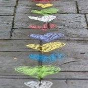 Ioana Jitcu's photo