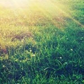 Dania Agafonova's photo