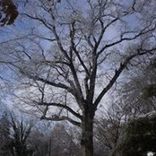 Jill Sinn's photo