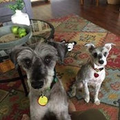 John Zimmerling's photo