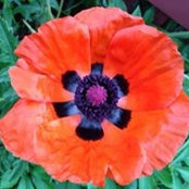 Jessica Raum's photo
