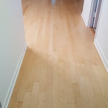 Natural Maple