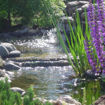 Garden Center