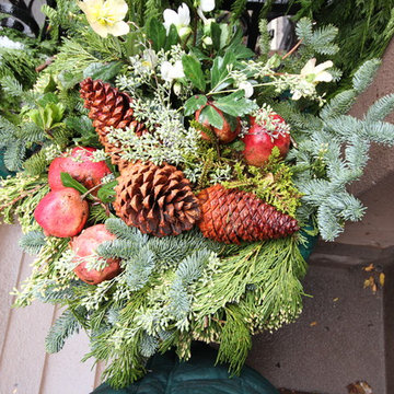 Christmas window boxes in Brooklyn
