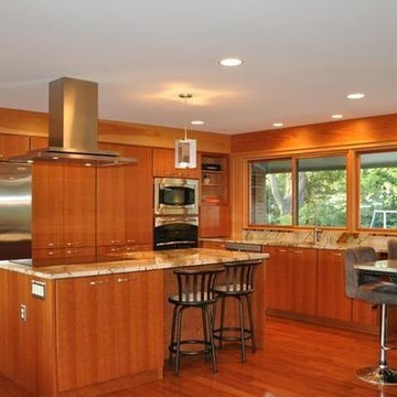 Mid Century Modern Renovation