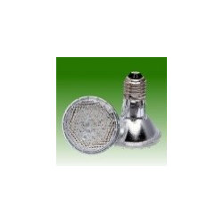 120V 2 Watt LED PAR20 - Led Bulbs