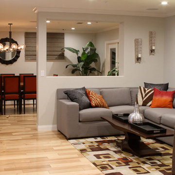Bold Contemporary | Encinitas