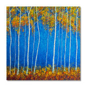 Aspen Fall