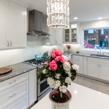 Amazing Kitchen Expansion and Remodel Brightens up Home in Arlington, VA