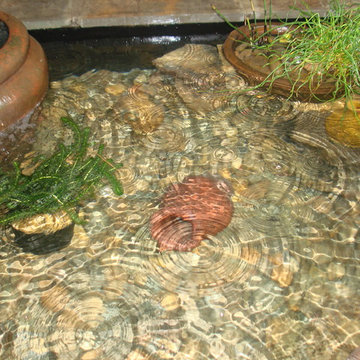 Water Festures