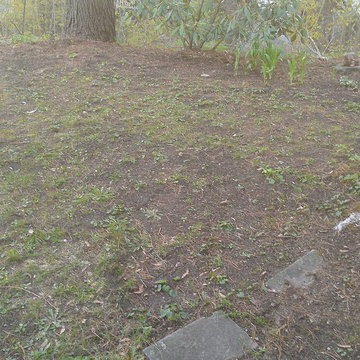 irregular blue stone patio for perinnial garden
