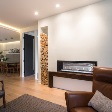 Minneapolis Whole Home Renovation