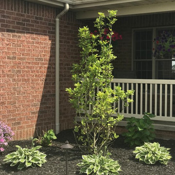 front landscape