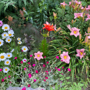 Meadowscaping