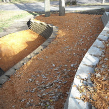sue_josephson's Ideas