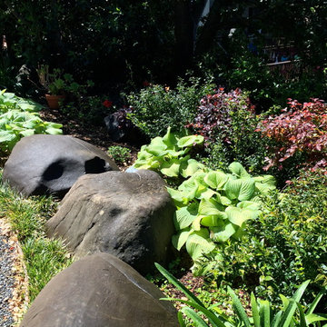 San Rafael Hillside renovation