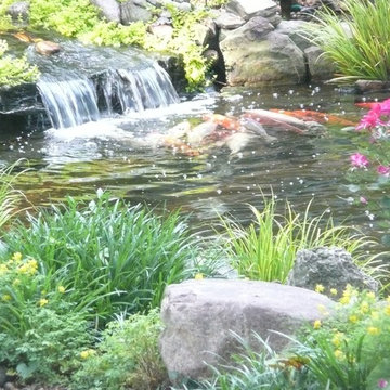 Water Gardens
