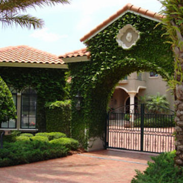 Entry Gates
