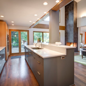 Minneapolis Whole Home Renovation 2