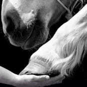 Heather McCormack's photo