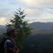 Diante Taylors foto