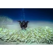 Jenny Bernier's photo