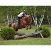 Claire Laplante's photo