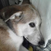 Angela Bauman's photo