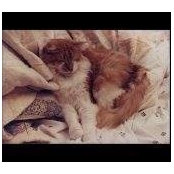 Whisko Murphy's photo