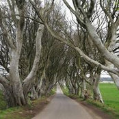 Darren Maxwell's photo