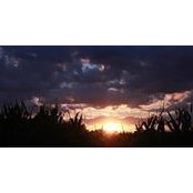 Megan Verbeke's photo