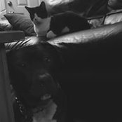Corrinne Pulvermiller's photo