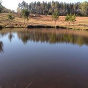 Beth Counterman Widdoss's photo