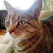 Caryl Fox's photo