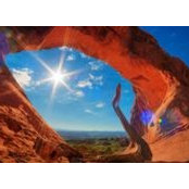 Terri Lyons's photo
