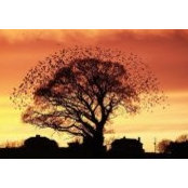 Eden Stone's photo
