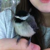 Matti Dunn's photo