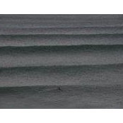 Derek Trenaman's photo