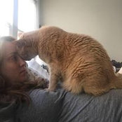 Alex Fliess's photo