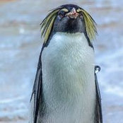 Boris Bakshiyev's photo