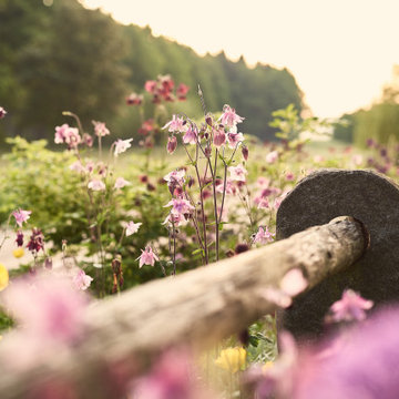 Gärten/ Blumen
