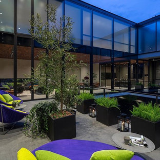 東京23区のコンテンポラリースタイルのおしゃれな中庭のテラス (日よけなし) の写真