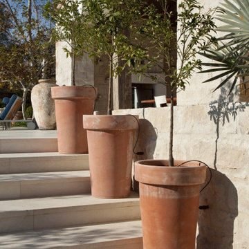 Large Tree Planters