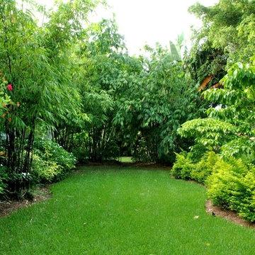 Miami Landscape Design Ideas