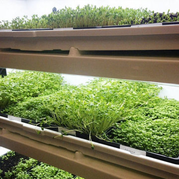 Design Ideas Featuring Urban Cultivator™