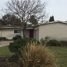 1426 w/o Shutters And Bush And Boat