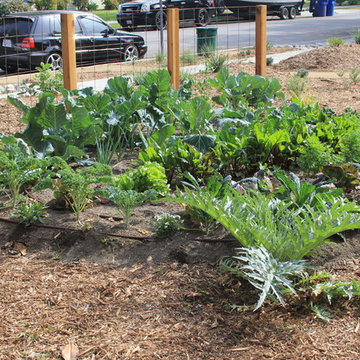 Edible gardens