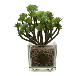 House by John Lewis Artificial Mini Echeveria with Stalks - Bathroom Accessories