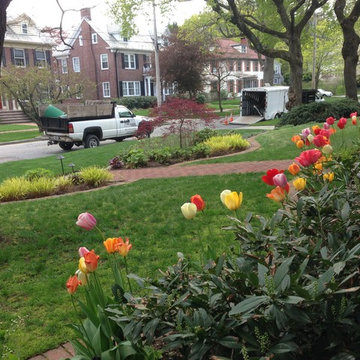 spring flowers