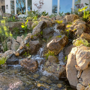 Encino Pond, Pondless Waterfall & Landscape Project